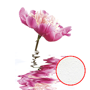 Фреска Ortograf Цветы 4332 Фактура бархат FX Флизелин (1,8*2,7) Белый/Розовый, Цветы