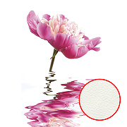 Фреска Ortograf Цветы 4332 Фактура флок FLK Флизелин (1,8*2,7) Белый/Розовый, Цветы