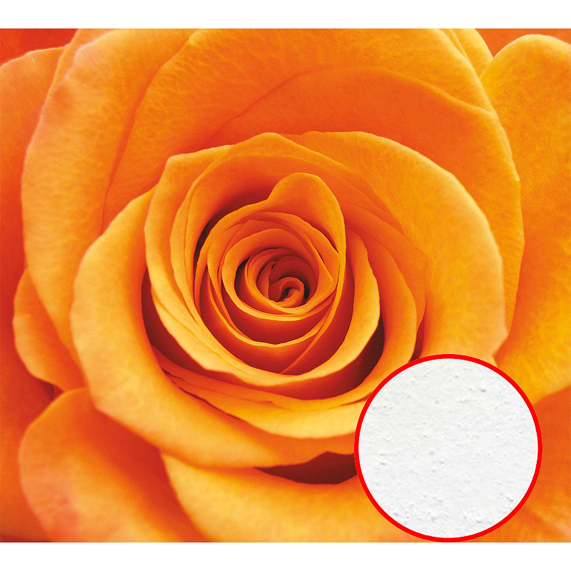Фреска Ortograf Цветы 3155 Фактура бархат FX Флизелин (3*2,7) Оранжевый, Цветы цена и фото