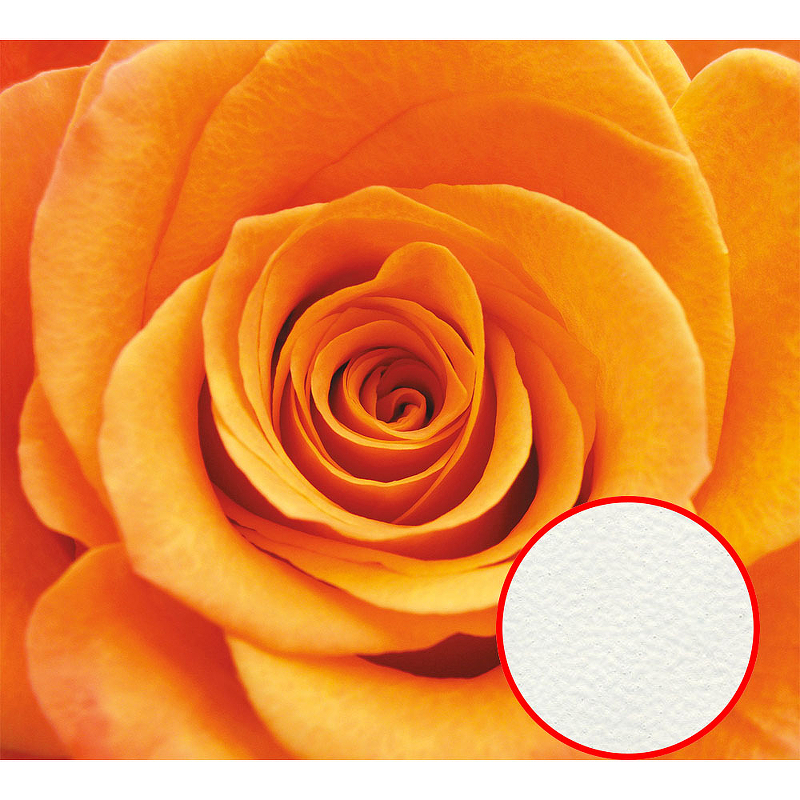 Фреска Ortograf Цветы 3155 Фактура флок FLK Флизелин (3*2,7) Оранжевый, Цветы цена и фото