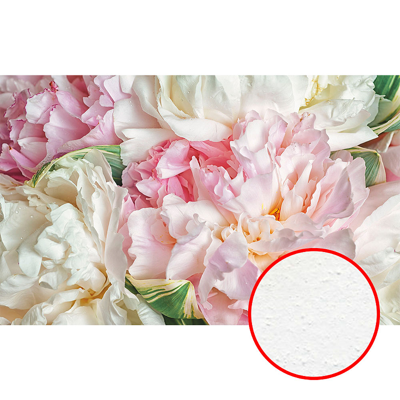 Фреска Ortograf Цветы 5403 Фактура бархат FX Флизелин (1,6*1) Белый/Розовый, Цветы
