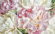 Фреска Ortograf Цветы 5403 Фактура бархат FX Флизелин (1,6*1) Белый/Розовый, Цветы-1