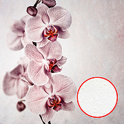 Фреска Ortograf Цветы 30963 Фактура бархат FX Флизелин (2,7*2,7) Розовый, Цветы