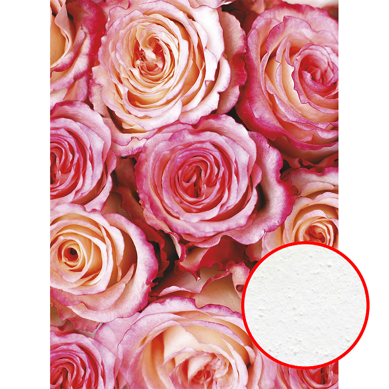 Фреска Ortograf Цветы 50043 Фактура бархат FX Флизелин (2*2,7) Розовый, Цветы