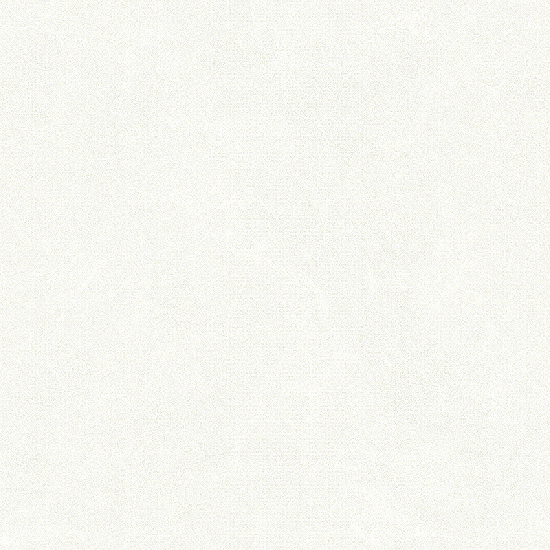 Обои Bernardo Bartalucci Carnazza 5060-1 Флизелин (1,06*10) Белый, Штукатурка