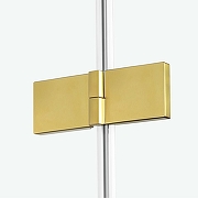 Душевая дверь New Trendy Avexa Gold 100 L EXK-1718 профиль Брашированное золото стекло прозрачное-2