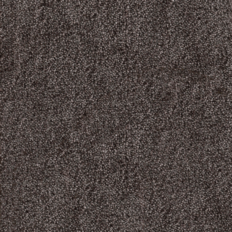 цена Ковролин AW Messalina 44 коричневый (ширина рулона 4м)