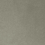 Ковролин AW Varuna 29 серый (ширина рулона 5м)