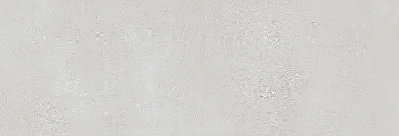 Керамическая плитка Pamesa Ceramica Ageri/Trend/Cr.Cellini blanco 031.627.0012.02566 Rect настенная 33,3х100 см цена и фото