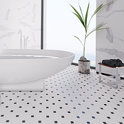 Керамическая мозаика StarMosaic Octagon big White/Black Matt GTPL61466/CLA006 30x30 см-2