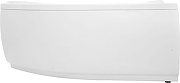 Акриловая ванна Aquanet Capri 170x110 R 203922 без гидромассажа-2
