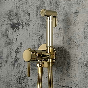 Гигиенический душ со смесителем Frap F7505-3 Золотой-7