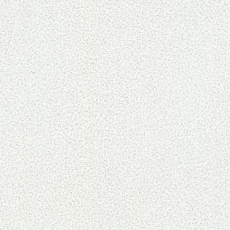 Обои Emiliana Parati Roberto Cavalli 8 19020 Винил на флизелине (1,06*10,05) Белый, Абстракция