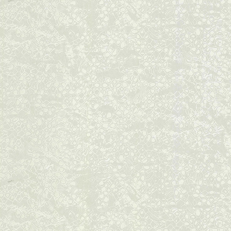 цена Обои Emiliana Parati Roberto Cavalli 8 19039 Винил на флизелине (1,06*10,05) Белый, Абстракция