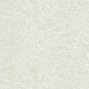 Обои Emiliana Parati  Roberto Cavalli 8 19039 Винил на флизелине (1,06*10,05) Белый, Абстракция