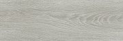 Керамогранит Lasselsberger Ceramics Эльзас серый 6264-0030 20x60 см-4