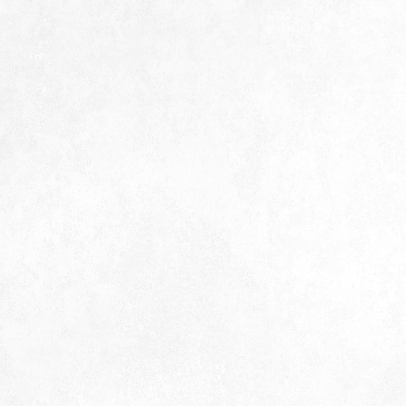 цена Обои Erismann Anika 6189-1 Винил на флизелине (1,06*10,05) Белый/Серый, Штукатурка