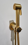 Гигиенический душ Bossini Paloma Brass E37005B.043 Золото сатинированное-1