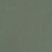 Обои Andrea Rossi Spectrum + 54351-14 Винил на флизелине (1,06*10) Зеленый, Штукатурка