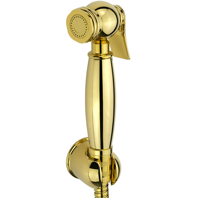 Гигиенический душ Veragio Kit 30818 Золото гигиенический душ veragio kit 30818 золото