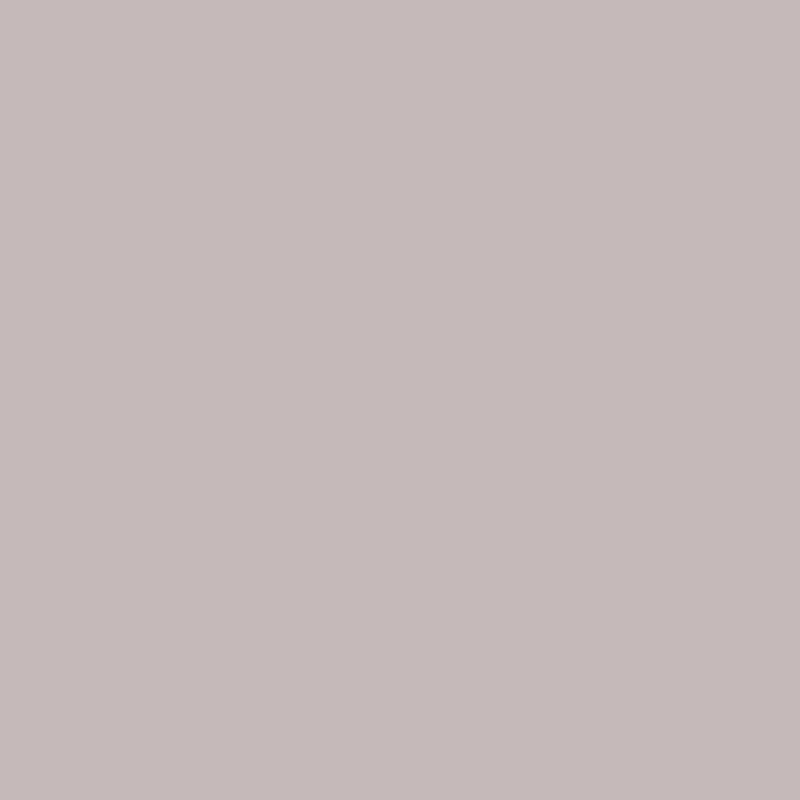 Обои Hygge 77 Colors C11 01 Флизелин (1*10,05) Серый, Однотонные