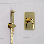 Гигиенический душ со смесителем WasserKRAFT А71097 Золото-1