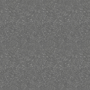 Обои Marburg Loft Superior 34106 Винил на флизелине (1,06*10,05) Серый, Штукатурка