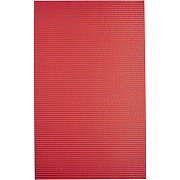 Коврик для ванной комнаты Ridder Standard 50x80 1100306 Красный