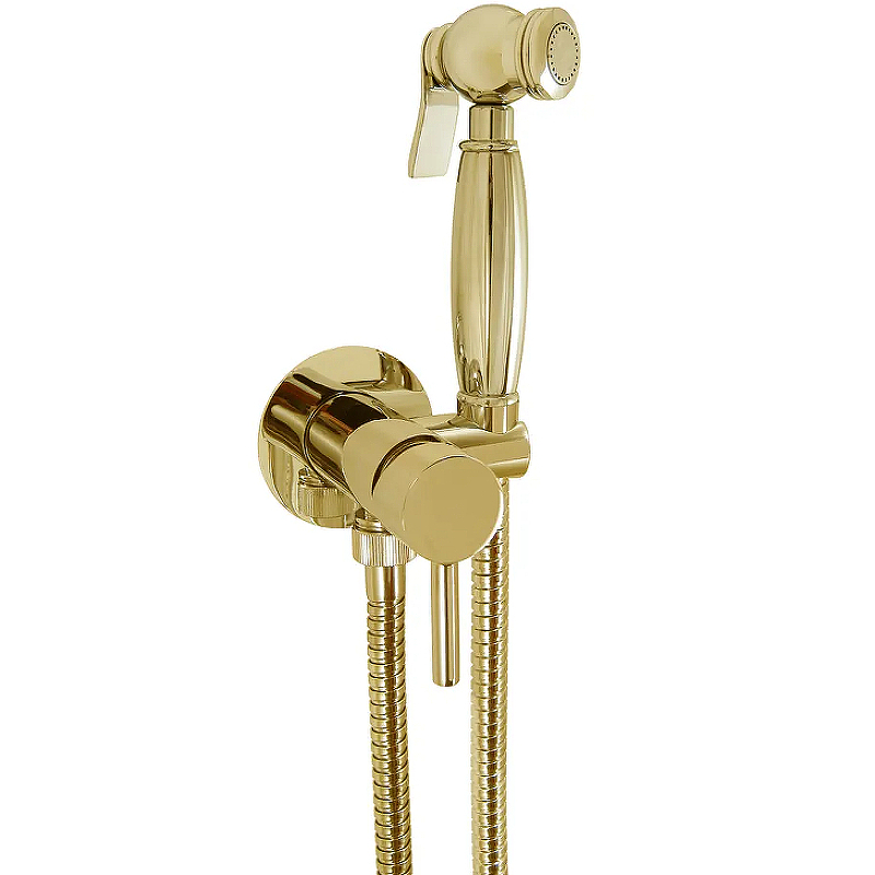Гигиенический душ со смесителем Giulini Futuro RU-GIU.FSH25/1531DOR Золото 24 карат гигиенический душ со смесителем giulini futuro fsh25dor золото 24 карата