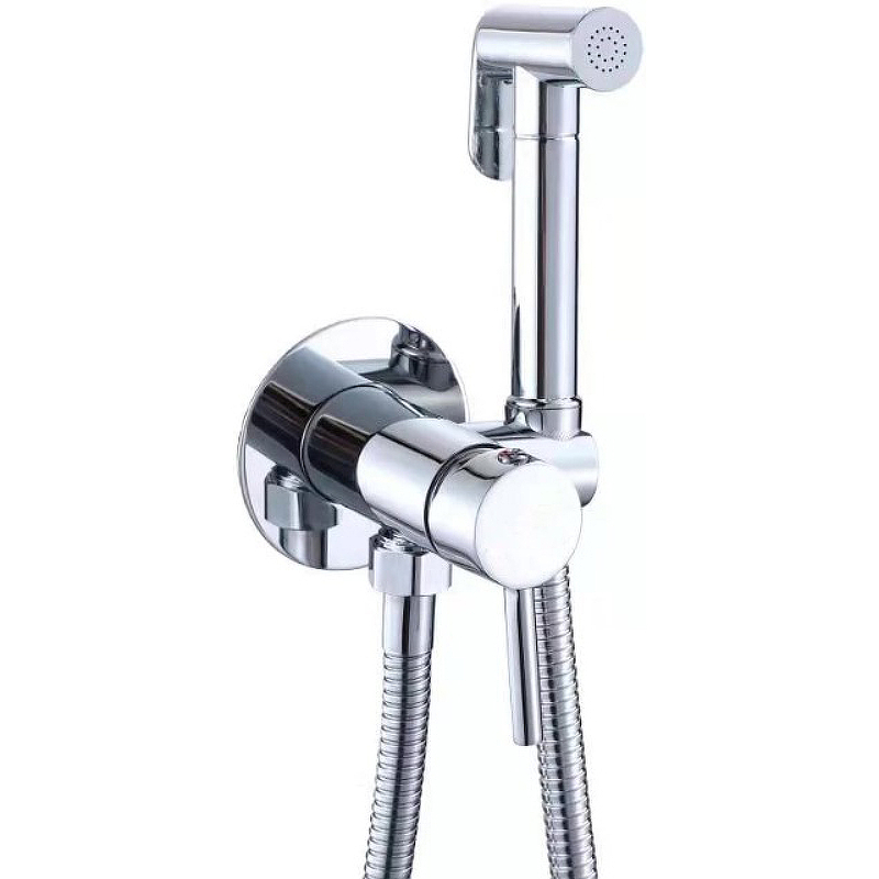 Гигиенический душ со смесителем Rush Capri CA1435-98 Хром гигиенический душ со смесителем rush capri ca1435 99black черный матовый