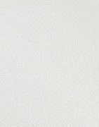 Обои Erismann Talia 12033-31 Винил на флизелине (1,06*10,05) Белый, Однотонные-1