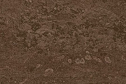 Керамическая плитка Шахтинская плитка (Unitile) Селена коричневый низ 02 настенная 20х30 см