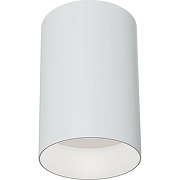 Потолочный светильник Maytoni Ceiling Wall Slim C014CL-01W Белый