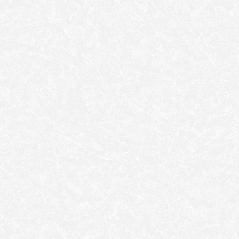 Обои Roberto Borzagi King 90114-1 Винил на флизелине (1,06*10) Белый, Штукатурка