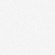 Обои Roberto Borzagi King 90114-1 Винил на флизелине (1,06*10) Белый, Штукатурка