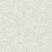 Обои Roberto Borzagi King 90114-6 Винил на флизелине (1,06*10) Серый, Штукатурка