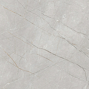 Керамогранит Gravita Larice Grey 60х60 см