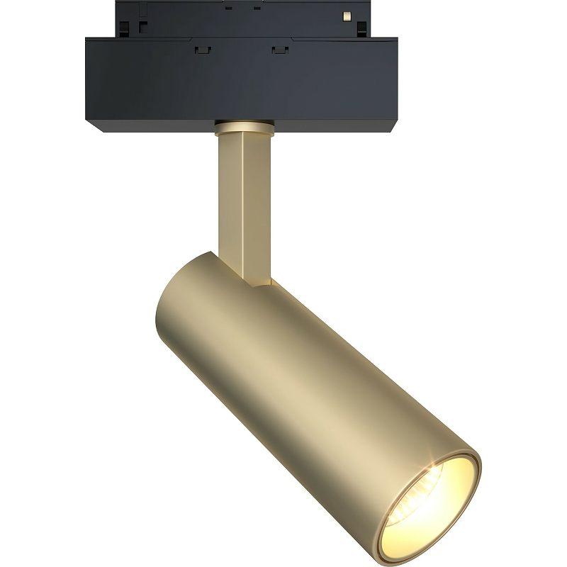 Трековый светильник Maytoni Magnetic track system Focus LED TR019-2-10W4K-MG Золото матовое