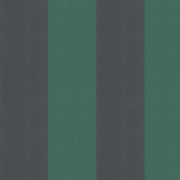 Обои Andrea Rossi Spectrum max 54364-8 Винил на флизелине (1,06*10) Зеленый/Черный, Полоса