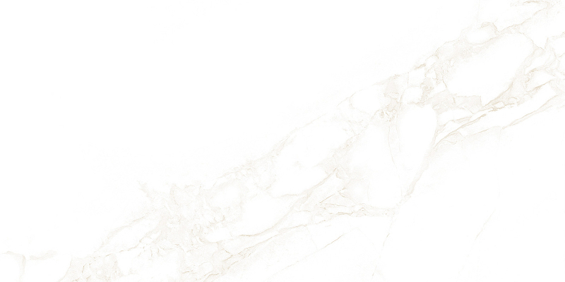 Керамическая плитка AltaCera Artdeco White WT9ARE00 настенная 25х50 см