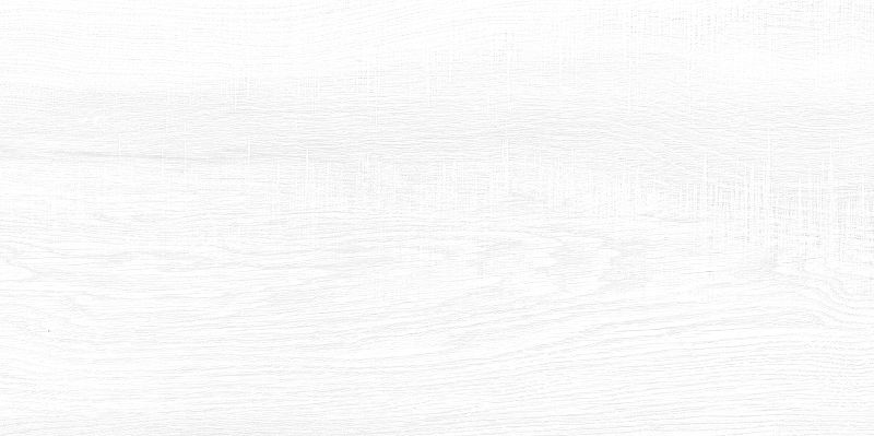 Керамическая плитка AltaCera Briole White WT9BRE00 настенная 24,9х50 см