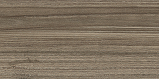 Керамическая плитка NewTrend Essense Essense Brown WT9ESS08 настенная 24,9х50 см