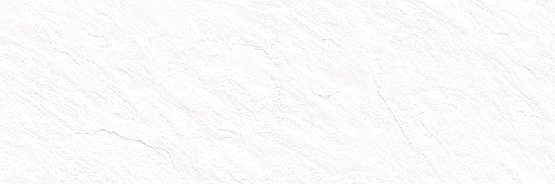Керамическая плитка Delacora Leon White WT15LEN00R настенная 24,6х74 см