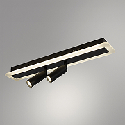 Потолочный светильник Artelamp Tommy A2607PL-22BK Черный Белый-1