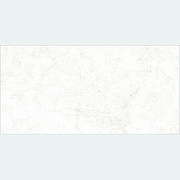 Керамическая плитка Alma Ceramica Trevis TWU09TVS014 настенная 24,9х50 см