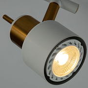Потолочный светильник Artelamp Almach A1906PL-2WH Белый-1