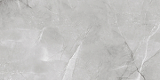 Керамогранит Absolut Gres Armani Silver AB 1142G 60x120 см