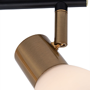 Потолочный светильник Artelamp Falena A3117PL-2BK Белый Античная бронза Черный-1