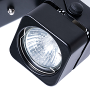 Потолочный светильник Artelamp Misam A1315PL-2BK Черный-2