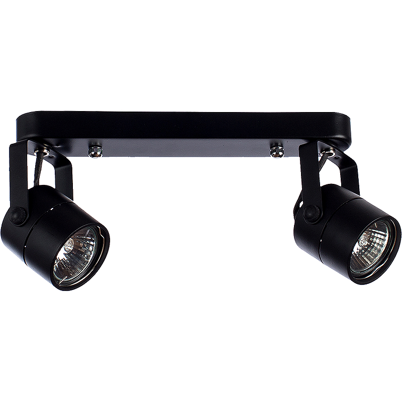 Потолочный светильник Artelamp Mizar A1311PL-2BK Черный спот экономсвет 86001 2bk gd gu10 2x60вт цвет чёрный